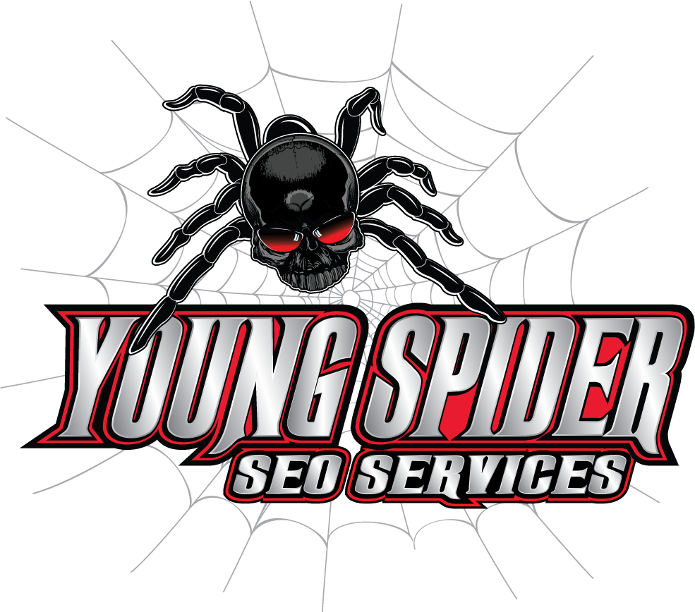 Young Spider SEO And Digital Marketing Logo